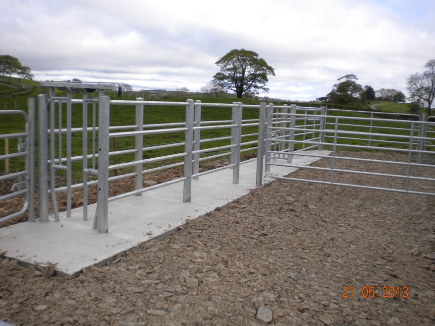 Gallery - Y & S FENCING LIMITED